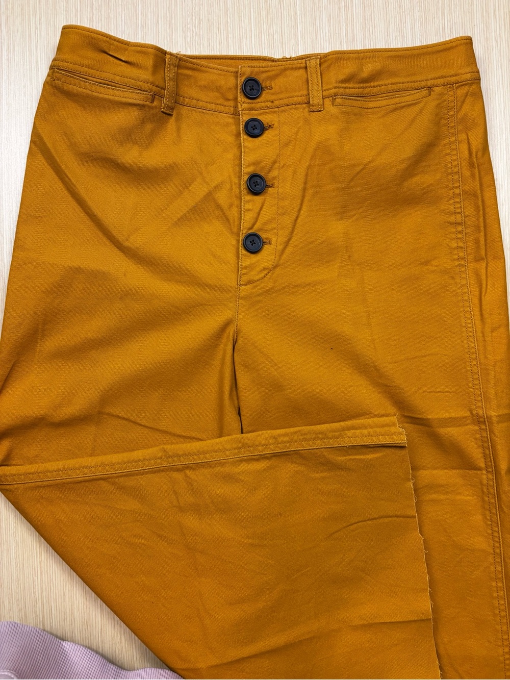 Madewell Emmett Wide-Leg Crop Raw Edge Pants Button-Front Edition Sz 31